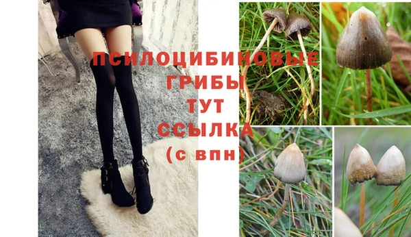 дурь Белокуриха