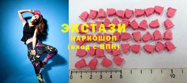 гидра Богданович