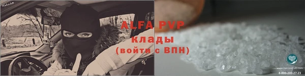 гидра Богданович