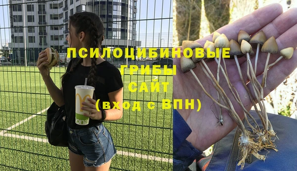 дурь Богородицк